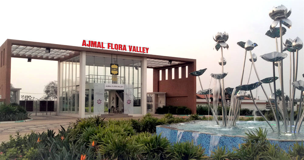 Ajmal Flora Valley