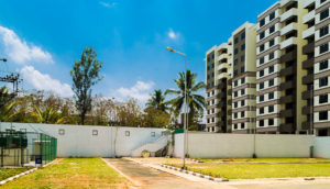 Provident Harmony