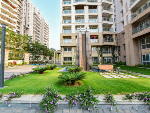 HM Tropical Tree RT Nagar Bangalore