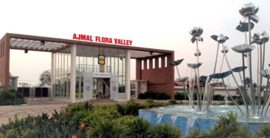 Ajmal Flora Valley