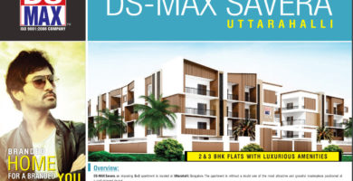 DS-MAX SAVERA