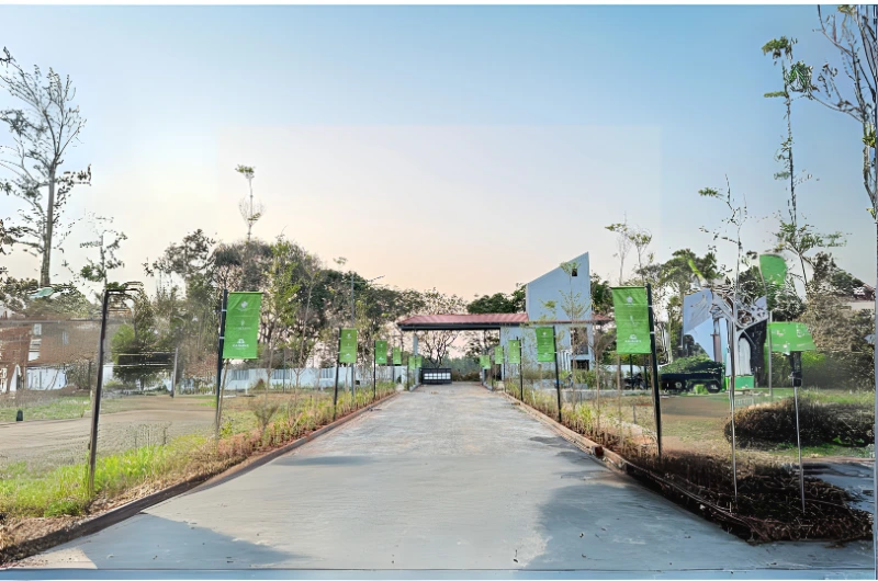 Little Earth by Countryside