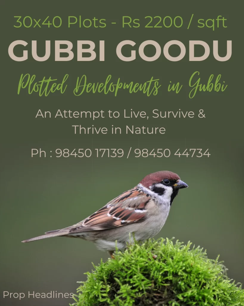 Gubbi Goodu