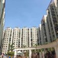 Suncity Gloria