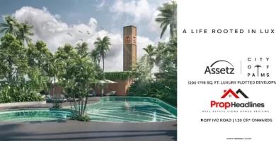 Assetz Codename Palmscape