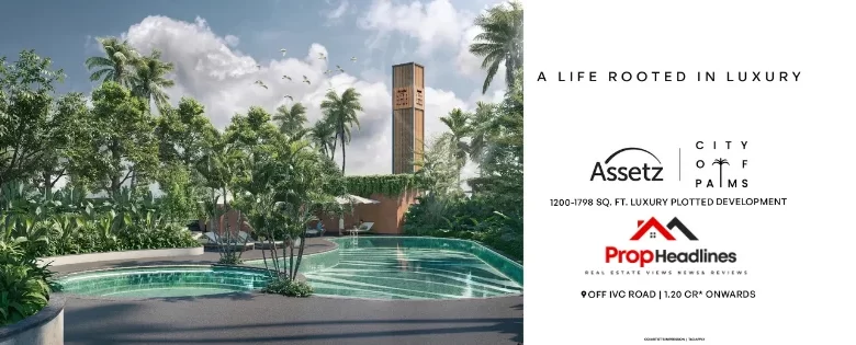 Assetz Codename Palmscape